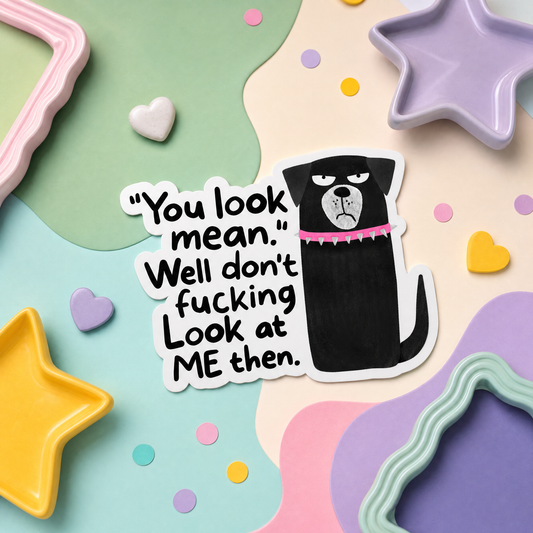 You Look Mean Well Don't Fucking Look at Me Then - Vinyl Sticker