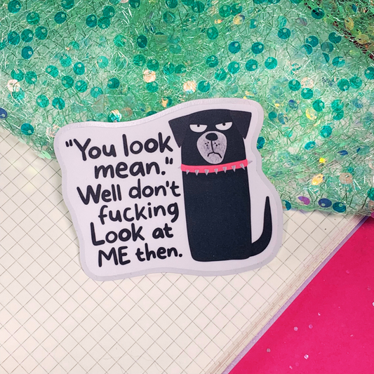You Look Mean - Vinyl Sticker
